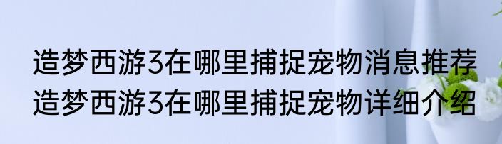 造梦西游3在哪里捕捉宠物消息推荐 造梦西游3在哪里捕捉宠物详细介绍