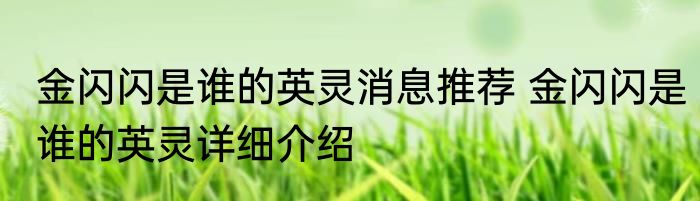 金闪闪是谁的英灵消息推荐 金闪闪是谁的英灵详细介绍