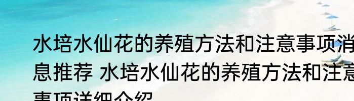 水培水仙花的养殖方法和注意事项消息推荐 水培水仙花的养殖方法和注意事项详细介绍