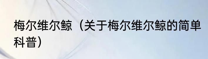 梅尔维尔鲸（关于梅尔维尔鲸的简单科普）