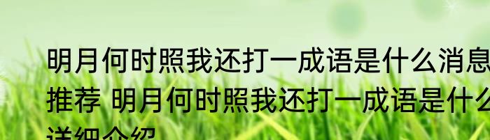 明月何时照我还打一成语是什么消息推荐 明月何时照我还打一成语是什么详细介绍