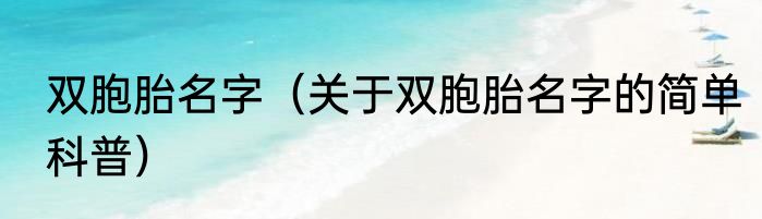 双胞胎名字（关于双胞胎名字的简单科普）