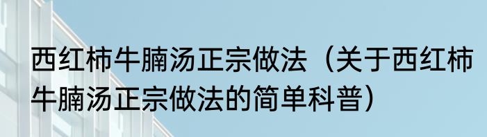 西红柿牛腩汤正宗做法（关于西红柿牛腩汤正宗做法的简单科普）