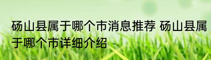 砀山县属于哪个市消息推荐 砀山县属于哪个市详细介绍