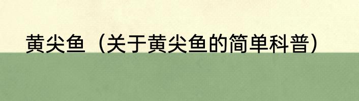 黄尖鱼（关于黄尖鱼的简单科普）