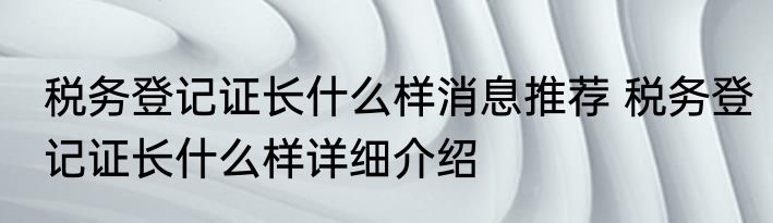 税务登记证长什么样消息推荐 税务登记证长什么样详细介绍