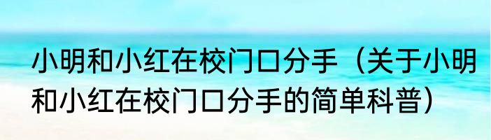小明和小红在校门口分手（关于小明和小红在校门口分手的简单科普）