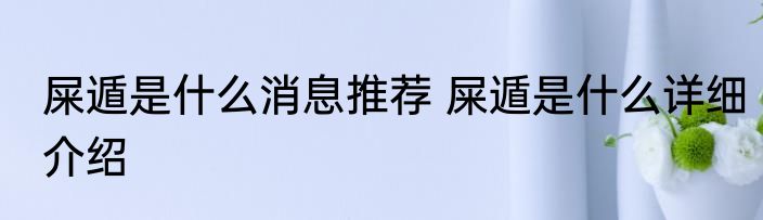 屎遁是什么消息推荐 屎遁是什么详细介绍