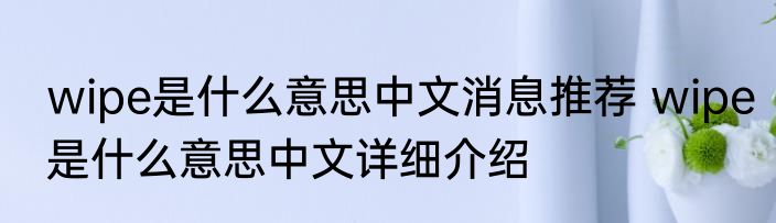 wipe是什么意思中文消息推荐 wipe是什么意思中文详细介绍