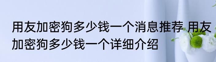 用友加密狗多少钱一个消息推荐 用友加密狗多少钱一个详细介绍