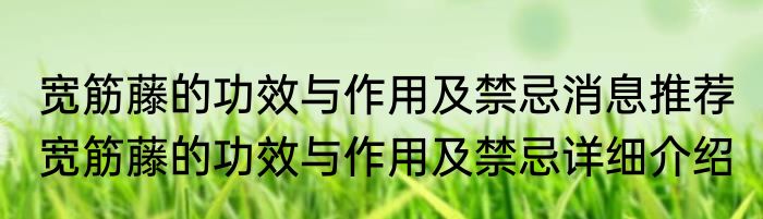 宽筋藤的功效与作用及禁忌消息推荐 宽筋藤的功效与作用及禁忌详细介绍
