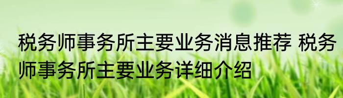 税务师事务所主要业务消息推荐 税务师事务所主要业务详细介绍