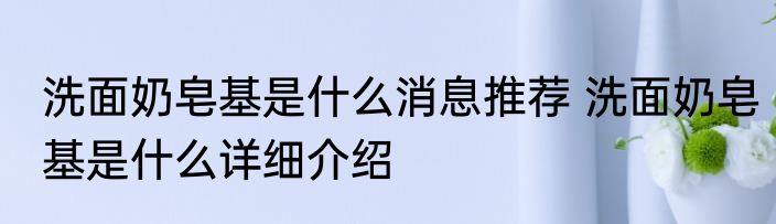 洗面奶皂基是什么消息推荐 洗面奶皂基是什么详细介绍