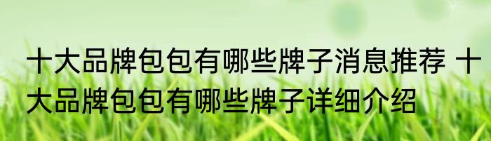十大品牌包包有哪些牌子消息推荐 十大品牌包包有哪些牌子详细介绍