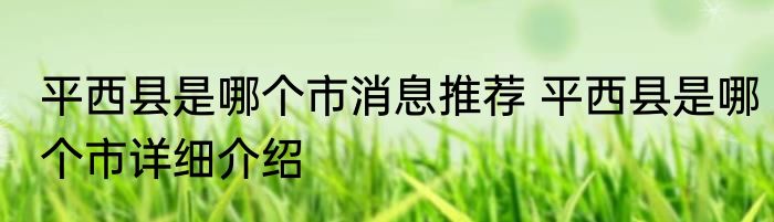 平西县是哪个市消息推荐 平西县是哪个市详细介绍