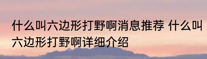 什么叫六边形打野啊消息推荐 什么叫六边形打野啊详细介绍