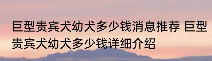 巨型贵宾犬幼犬多少钱消息推荐 巨型贵宾犬幼犬多少钱详细介绍