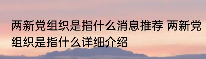 两新党组织是指什么消息推荐 两新党组织是指什么详细介绍