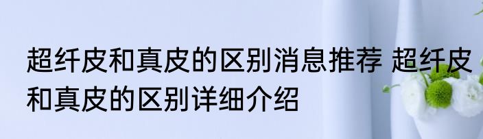 超纤皮和真皮的区别消息推荐 超纤皮和真皮的区别详细介绍