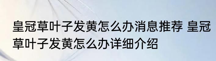 皇冠草叶子发黄怎么办消息推荐 皇冠草叶子发黄怎么办详细介绍