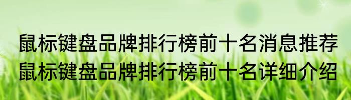 鼠标键盘品牌排行榜前十名消息推荐 鼠标键盘品牌排行榜前十名详细介绍