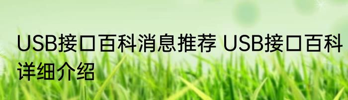 USB接口百科消息推荐 USB接口百科详细介绍