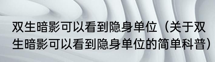 双生暗影可以看到隐身单位（关于双生暗影可以看到隐身单位的简单科普）