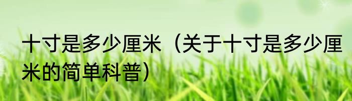 十寸是多少厘米（关于十寸是多少厘米的简单科普）