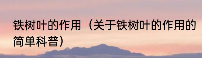 铁树叶的作用（关于铁树叶的作用的简单科普）