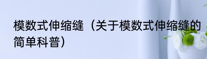模数式伸缩缝（关于模数式伸缩缝的简单科普）
