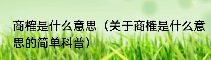 商榷是什么意思（关于商榷是什么意思的简单科普）