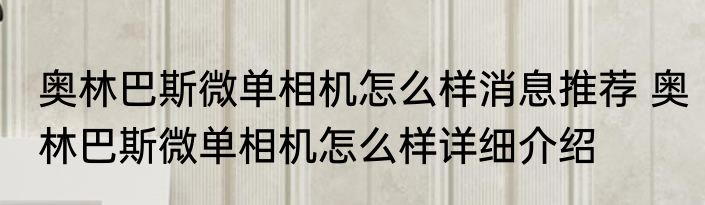 奥林巴斯微单相机怎么样消息推荐 奥林巴斯微单相机怎么样详细介绍