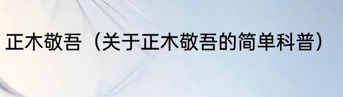 正木敬吾（关于正木敬吾的简单科普）