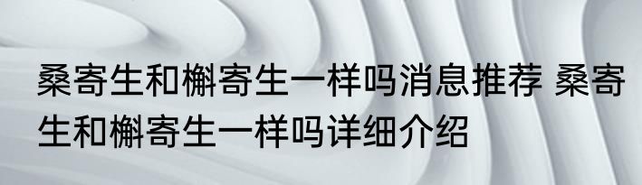 桑寄生和槲寄生一样吗消息推荐 桑寄生和槲寄生一样吗详细介绍