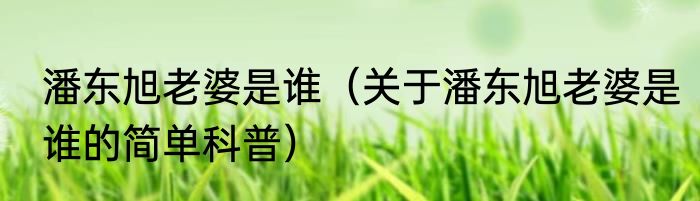 潘东旭老婆是谁（关于潘东旭老婆是谁的简单科普）