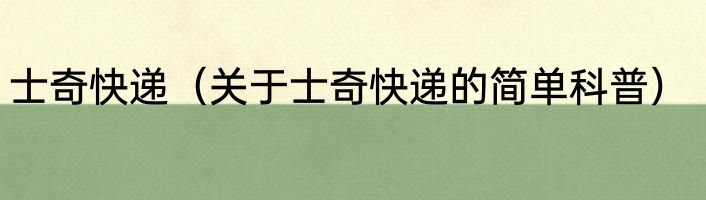 士奇快递（关于士奇快递的简单科普）