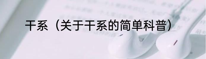 干系（关于干系的简单科普）