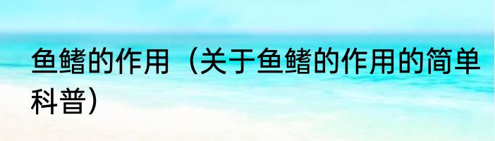 鱼鳍的作用（关于鱼鳍的作用的简单科普）