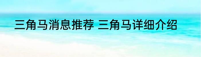 三角马消息推荐 三角马详细介绍