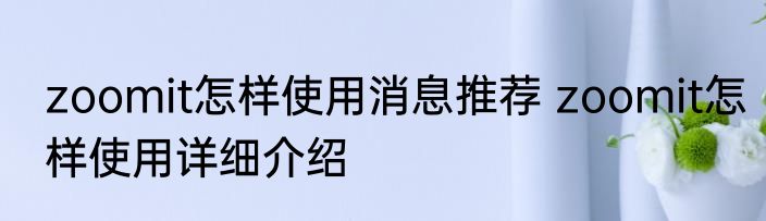 zoomit怎样使用消息推荐 zoomit怎样使用详细介绍