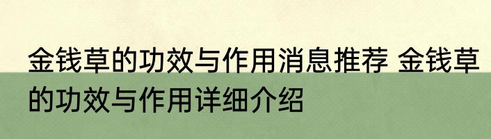 金钱草的功效与作用消息推荐 金钱草的功效与作用详细介绍
