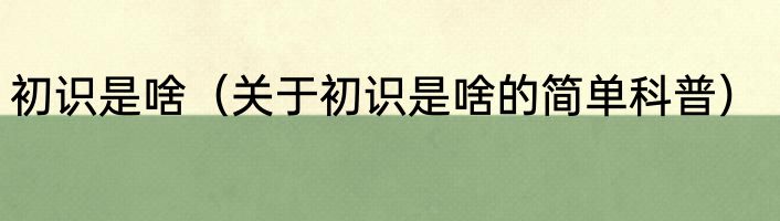 初识是啥（关于初识是啥的简单科普）