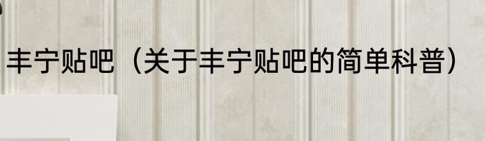 丰宁贴吧（关于丰宁贴吧的简单科普）