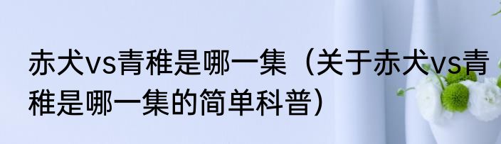 赤犬vs青稚是哪一集（关于赤犬vs青稚是哪一集的简单科普）