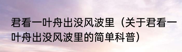 君看一叶舟出没风波里（关于君看一叶舟出没风波里的简单科普）