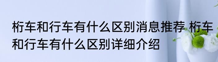 桁车和行车有什么区别消息推荐 桁车和行车有什么区别详细介绍