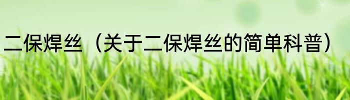 二保焊丝（关于二保焊丝的简单科普）