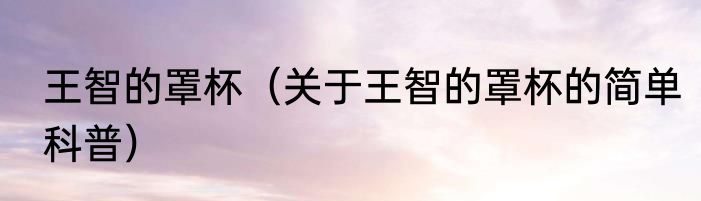 王智的罩杯（关于王智的罩杯的简单科普）