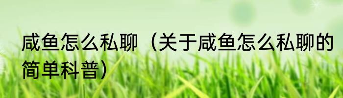 咸鱼怎么私聊（关于咸鱼怎么私聊的简单科普）