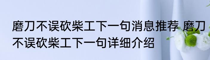 磨刀不误砍柴工下一句消息推荐 磨刀不误砍柴工下一句详细介绍